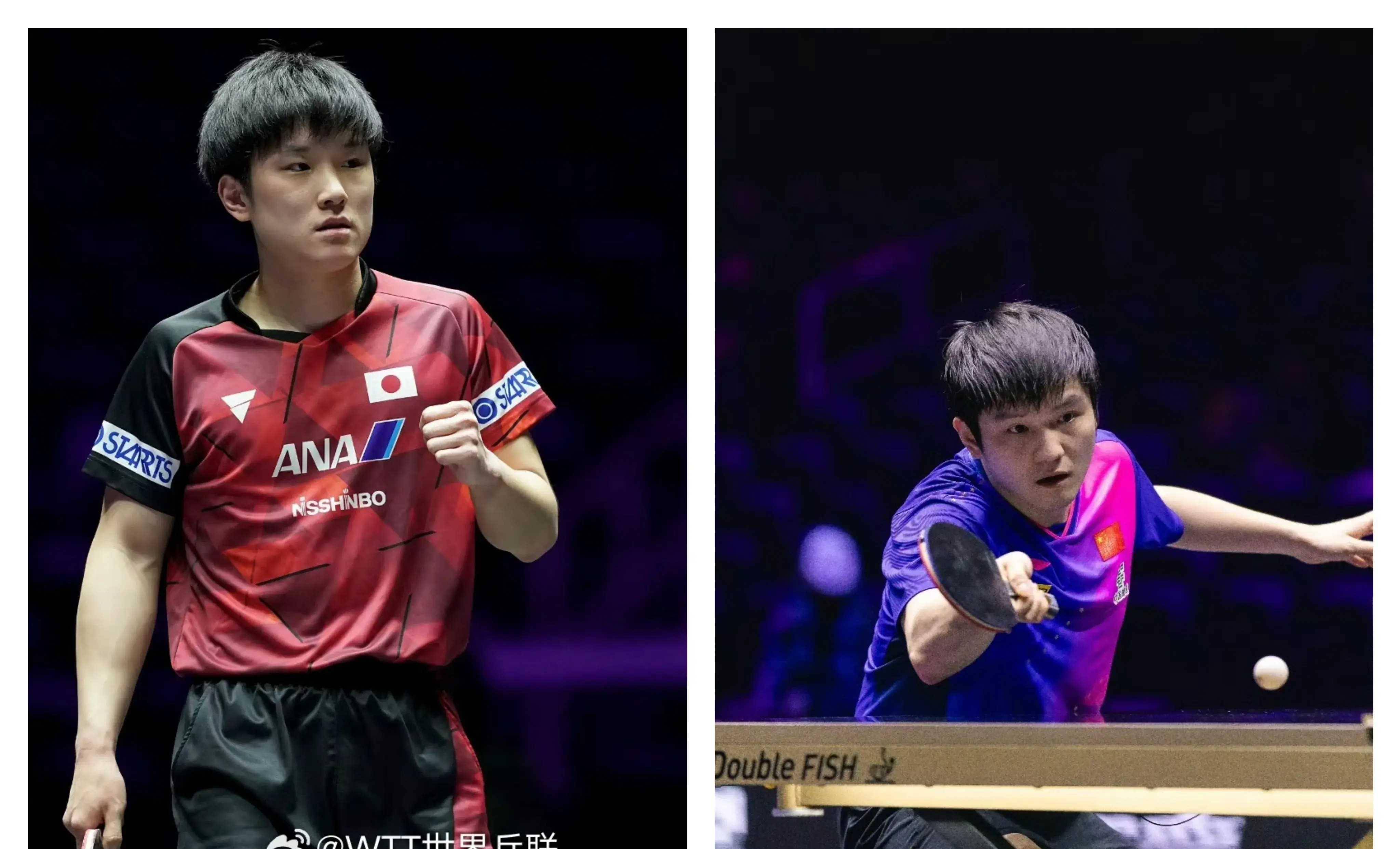 pg电子娱乐-波兰乒乓球队鏖战中国乒乓球队，张本智和关键制胜的简单介绍